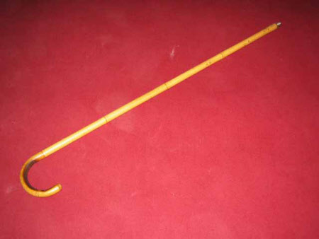Walking stick