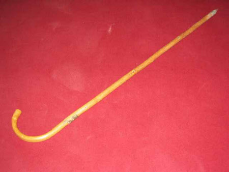 Walking stick