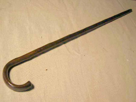 Walking stick