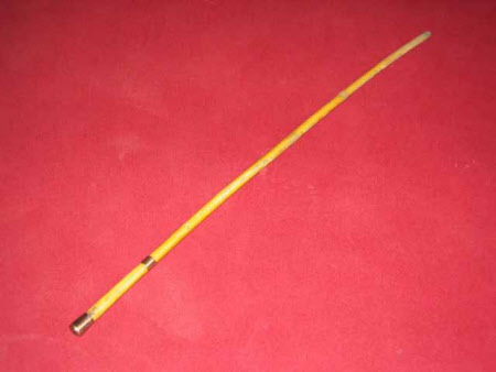 Walking stick
