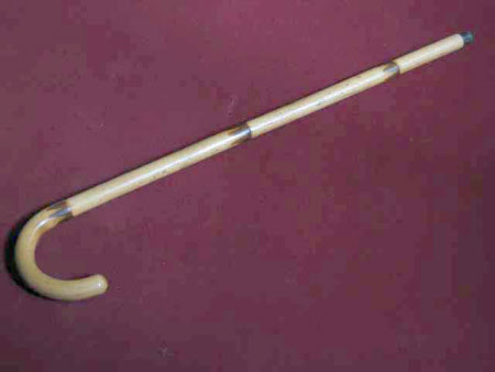 Walking stick