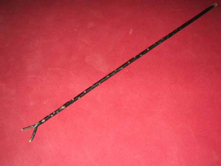 Walking stick