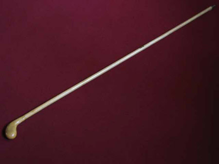 Walking cane