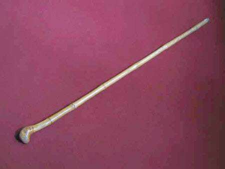 Walking stick