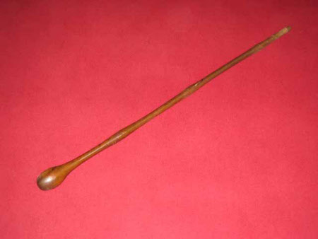 Walking stick