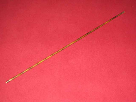 Walking stick