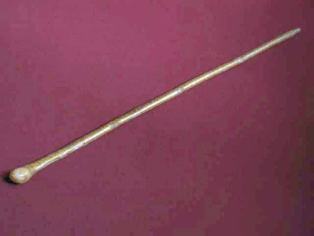 Walking stick