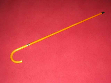 Walking stick