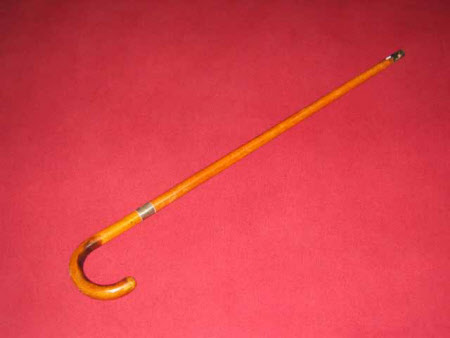 Walking stick