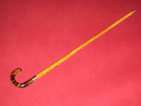 Walking stick