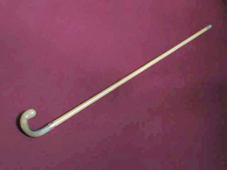 Walking stick