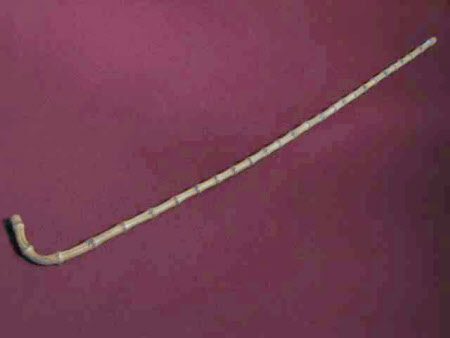 Walking stick