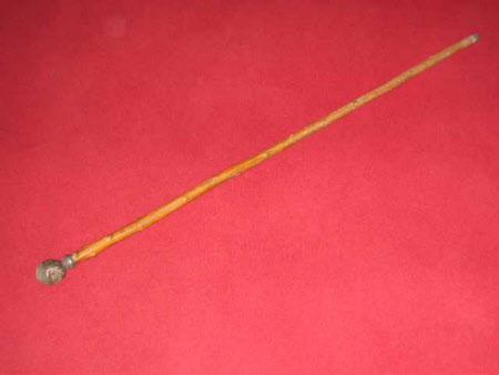 Walking stick