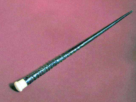 Walking stick