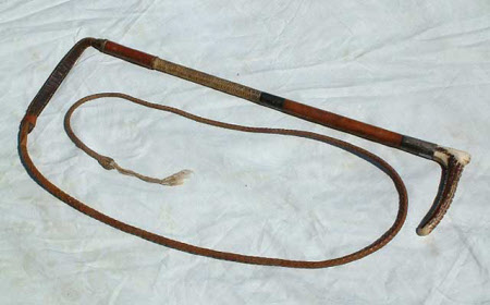 Hunting whip