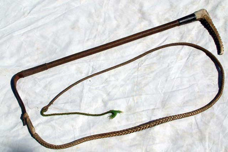 Hunting whip