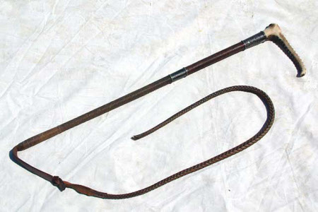 Hunting whip