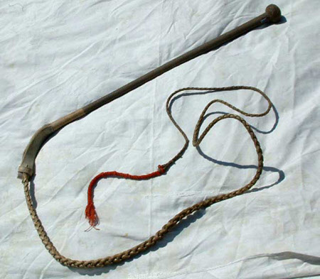 Hunting whip