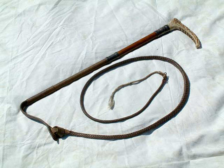 Hunting whip