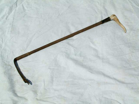 Hunting whip