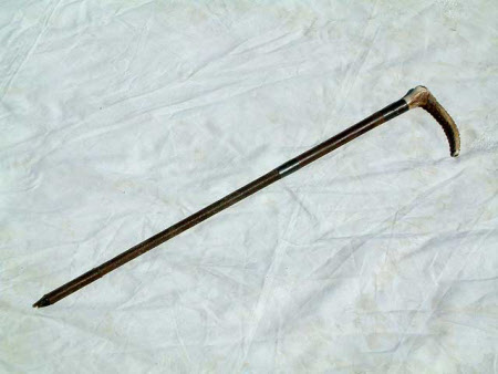 Hunting whip
