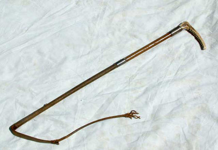 Hunting whip