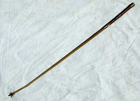 Hunting whip