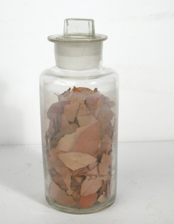 Spice jar