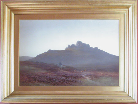 Leather Tor, Dartmoor, Devon