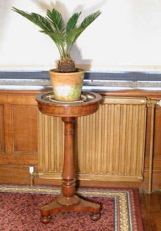 Plant stand