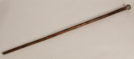 Walking cane