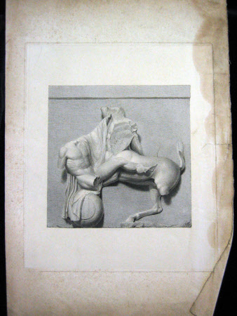 Metope depicting a Centaur and Lapith, The Parthenon, British Museum