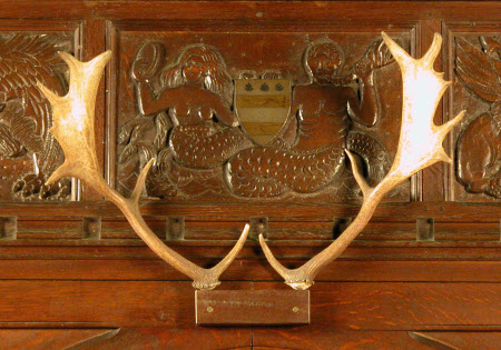 Antler
