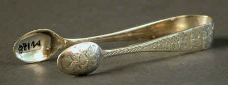 Sugar tongs