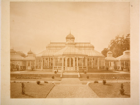 Photograph