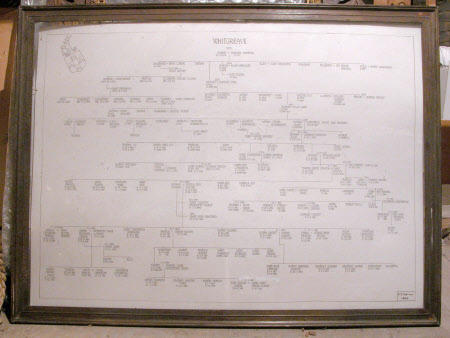Pedigree