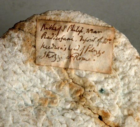 Calke Abbey © National Trust / Ian Buxton, David Midgelow, Brian Birch