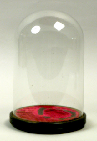 Display dome