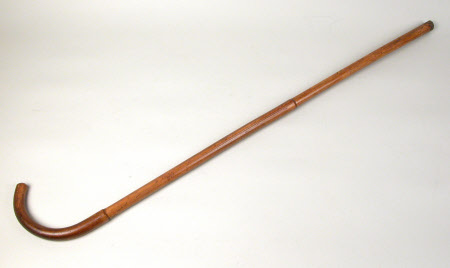 Walking cane