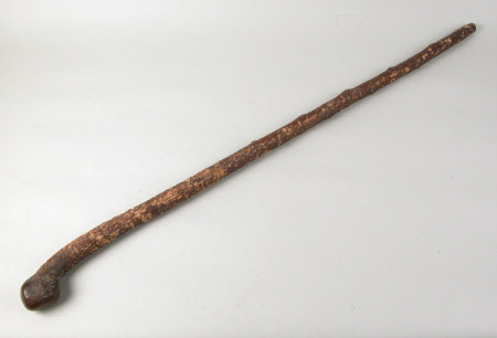 Walking stick