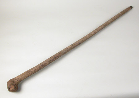 Walking stick