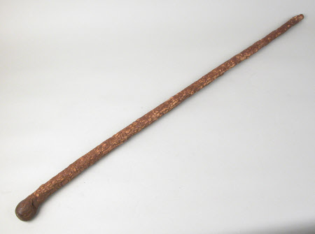 Walking stick