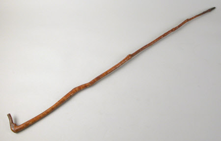 Walking cane