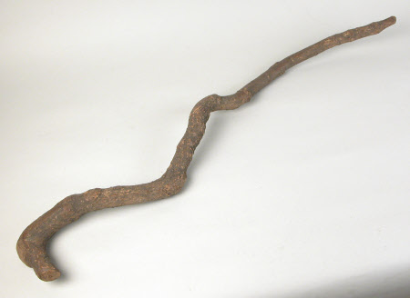 Walking stick