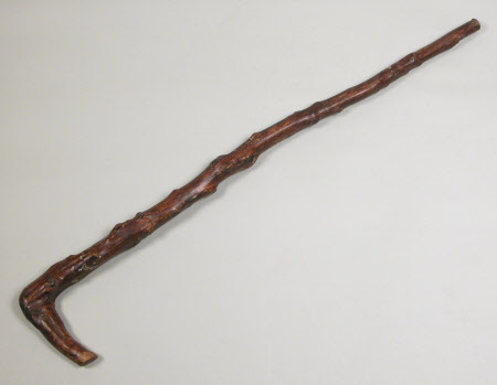 Walking stick