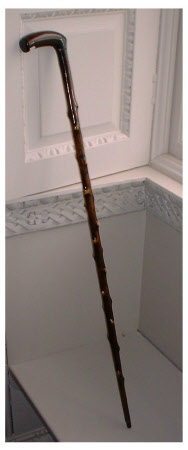 Cane