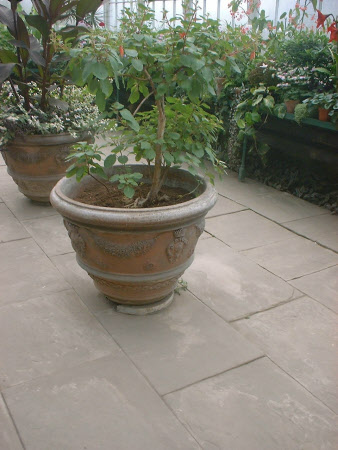 Wallington © National Trust / Donald Bovill & Susan McCormack