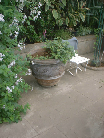 Wallington © National Trust / Donald Bovill & Susan McCormack