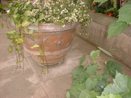 Wallington © National Trust / Donald Bovill & Susan McCormack