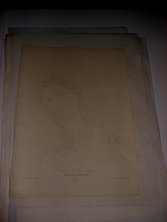 Head of the Virgin from the Madonna del Belvedere